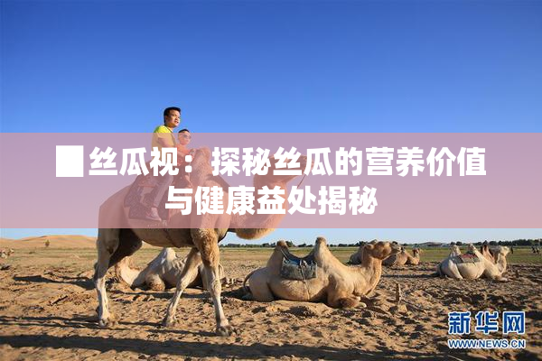 ▉丝瓜视：探秘丝瓜的营养价值与健康益处揭秘