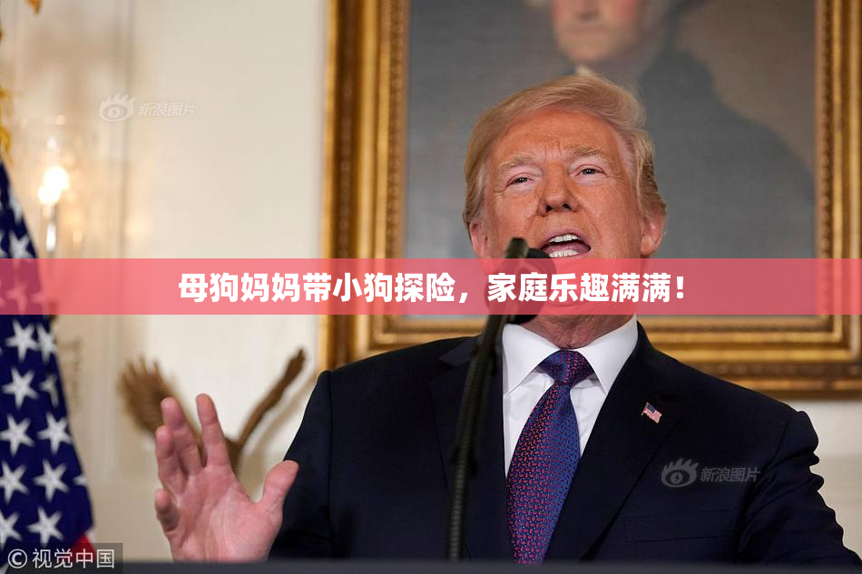 母狗妈妈带小狗探险，家庭乐趣满满！