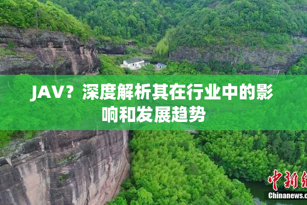 JAV？深度解析其在行业中的影响和发展趋势