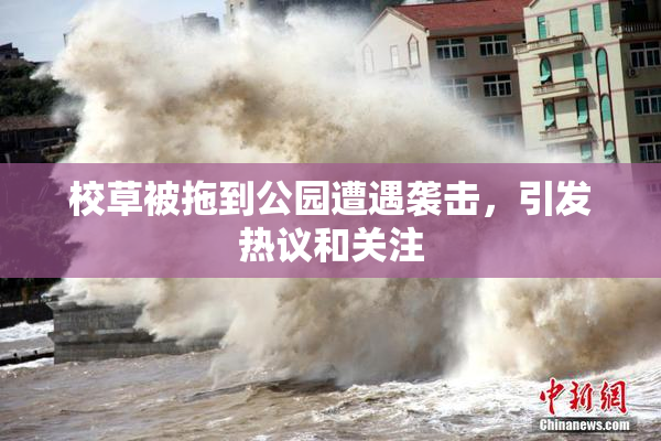 校草被拖到公园遭遇袭击，引发热议和关注