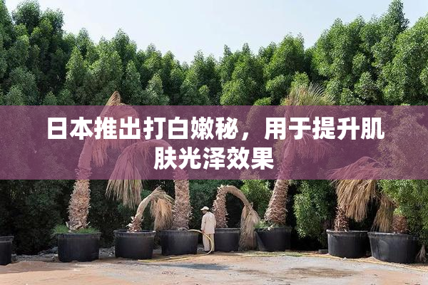日本推出打白嫩秘，用于提升肌肤光泽效果