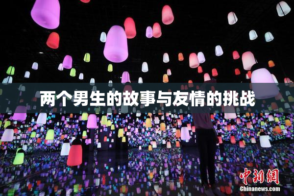 两个男生的故事与友情的挑战