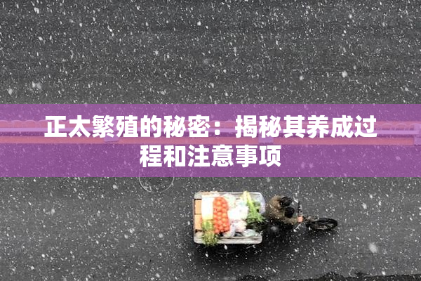 正太繁殖的秘密：揭秘其养成过程和注意事项
