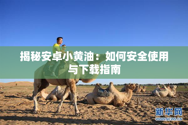 揭秘安卓小黄油：如何安全使用与下载指南