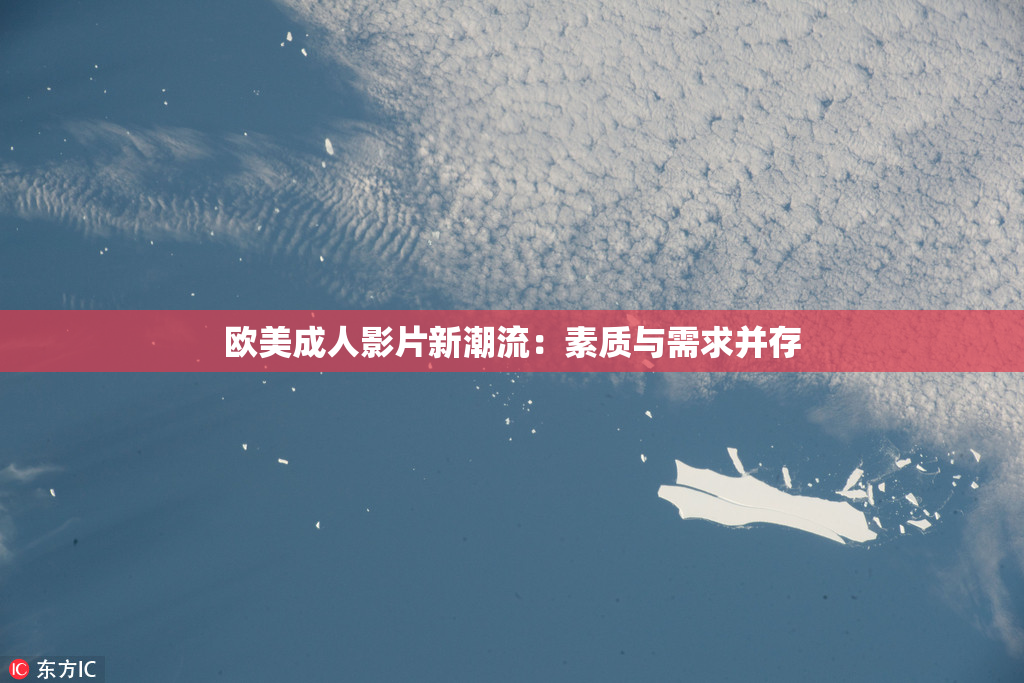 欧美成人影片新潮流：素质与需求并存