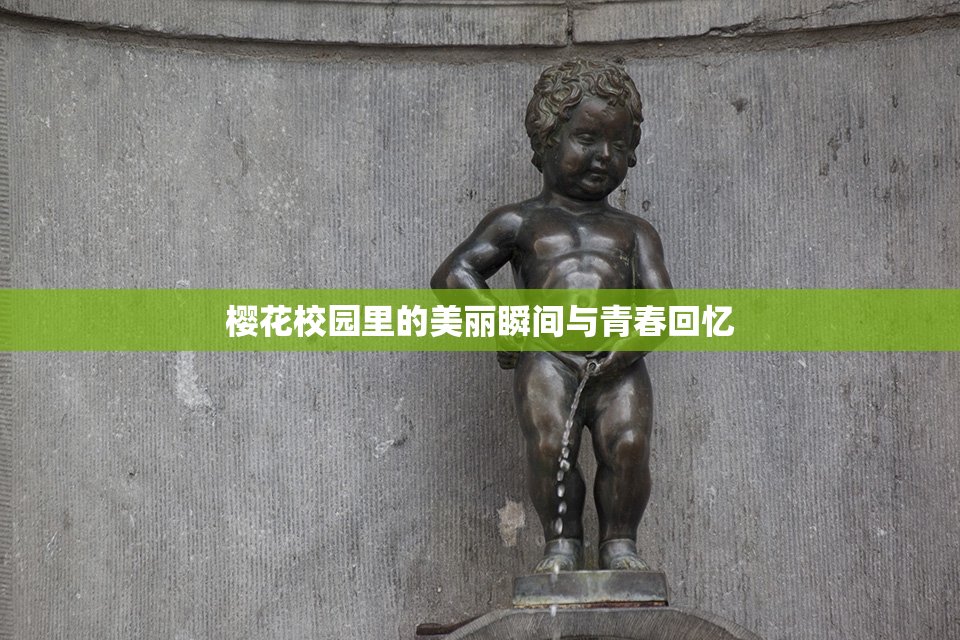樱花校园里的美丽瞬间与青春回忆
