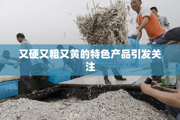 又硬又粗又黄的特色产品引发关注