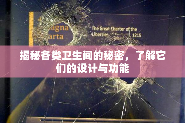 揭秘各类卫生间的秘密，了解它们的设计与功能