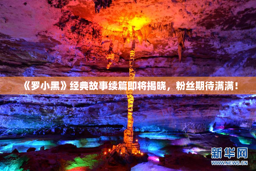 《罗小黑》经典故事续篇即将揭晓，粉丝期待满满！