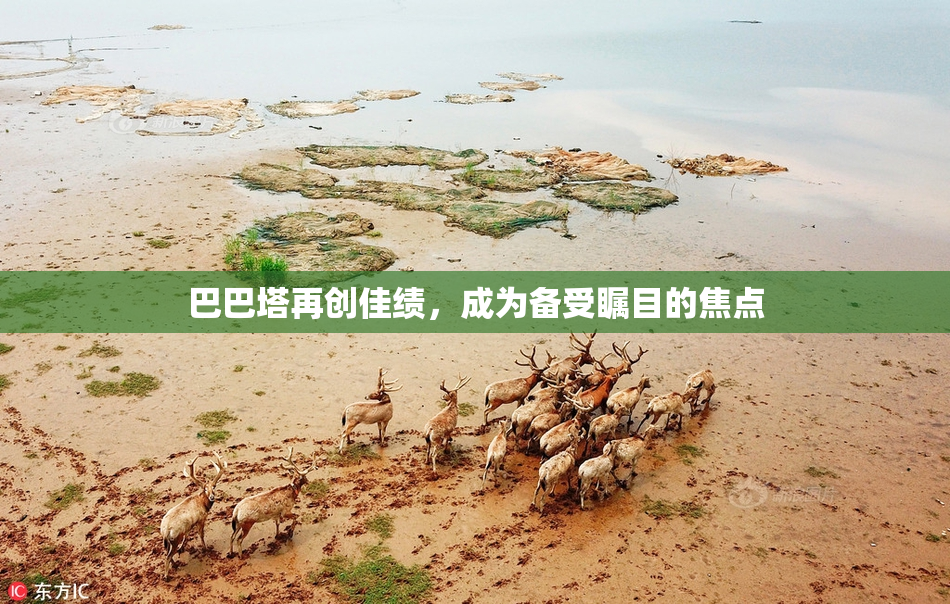 巴巴塔再创佳绩，成为备受瞩目的焦点