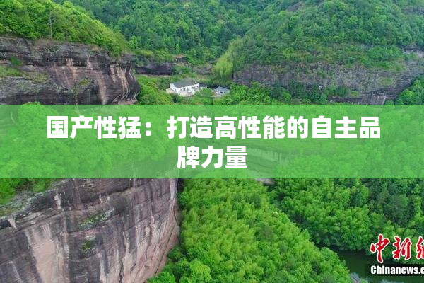 国产性猛：打造高性能的自主品牌力量