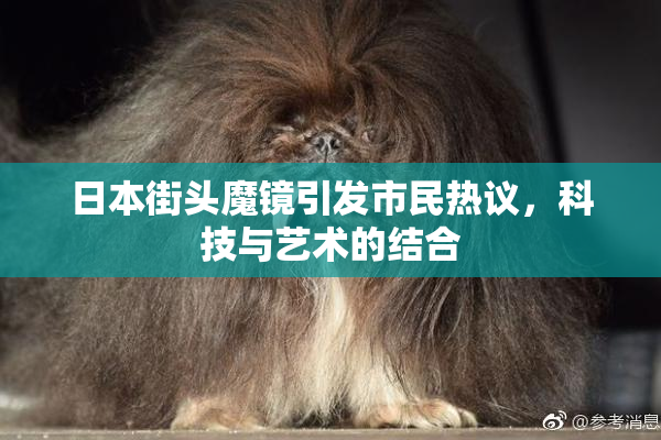 日本街头魔镜引发市民热议，科技与艺术的结合