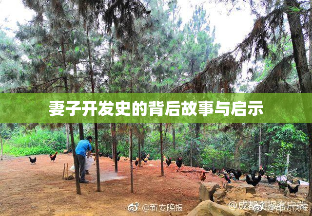妻子开发史的背后故事与启示