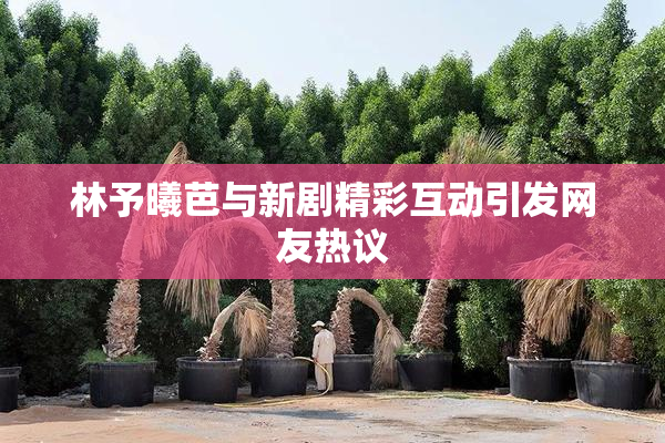 林予曦芭与新剧精彩互动引发网友热议
