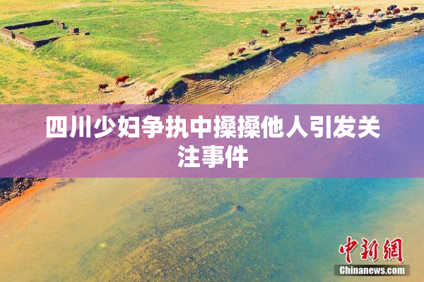 四川少妇争执中搡搡他人引发关注事件