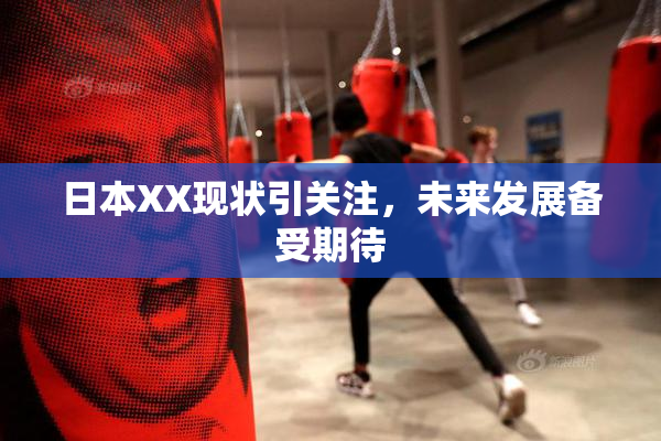 日本XX现状引关注，未来发展备受期待