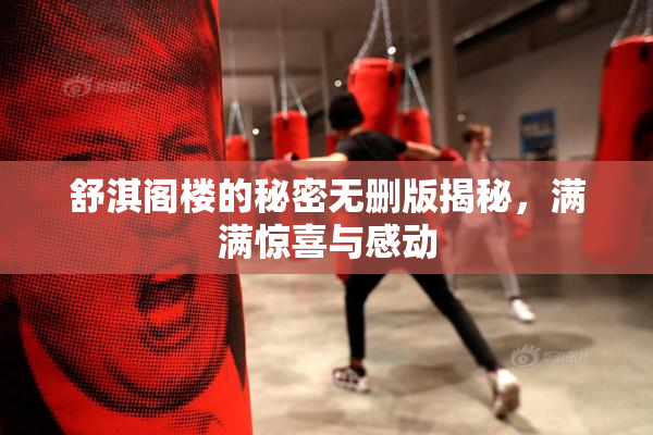 舒淇阁楼的秘密无删版揭秘，满满惊喜与感动