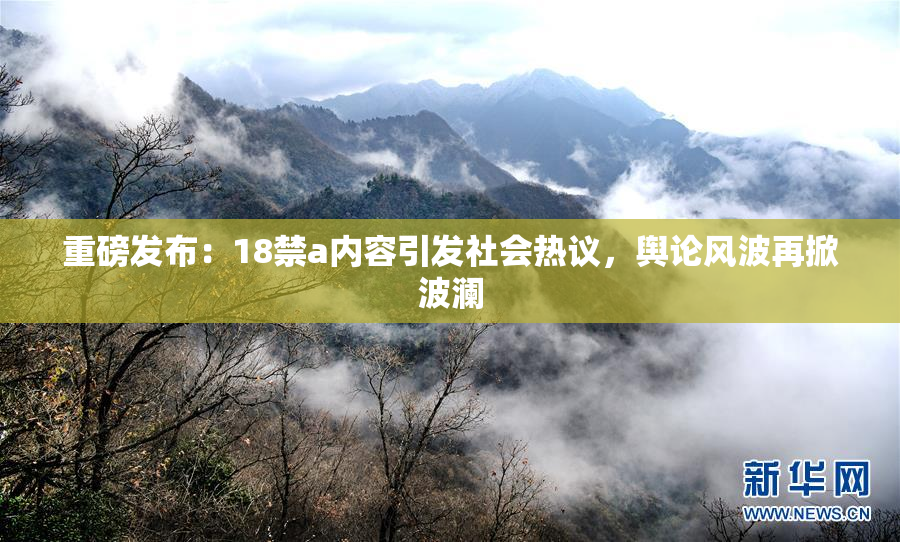 重磅发布：18禁a内容引发社会热议，舆论风波再掀波澜
