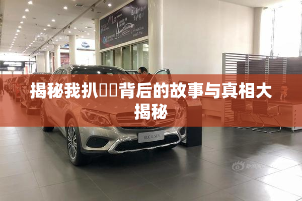 揭秘我扒妺妺背后的故事与真相大揭秘