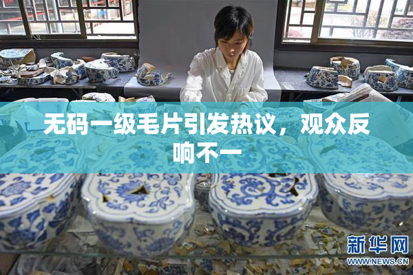 无码一级毛片引发热议，观众反响不一