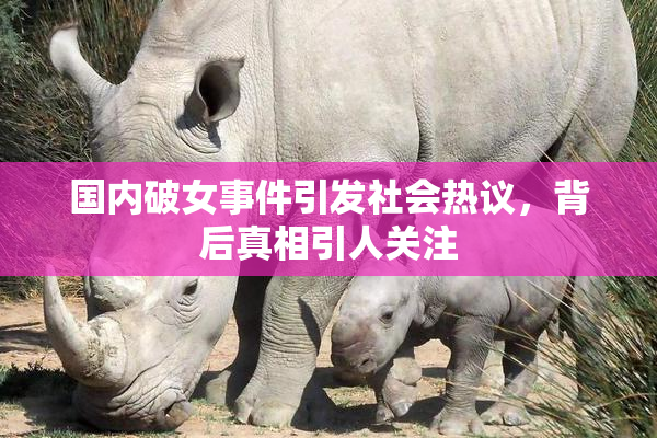 国内破女事件引发社会热议，背后真相引人关注