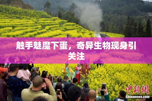 触手魅魔下蛋，奇异生物现身引关注