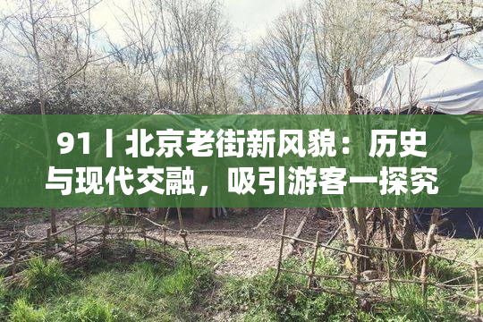 91丨北京老街新风貌：历史与现代交融，吸引游客一探究竟