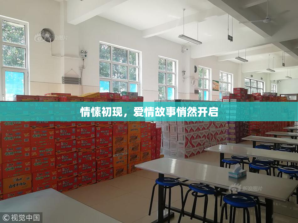 情愫初现，爱情故事悄然开启