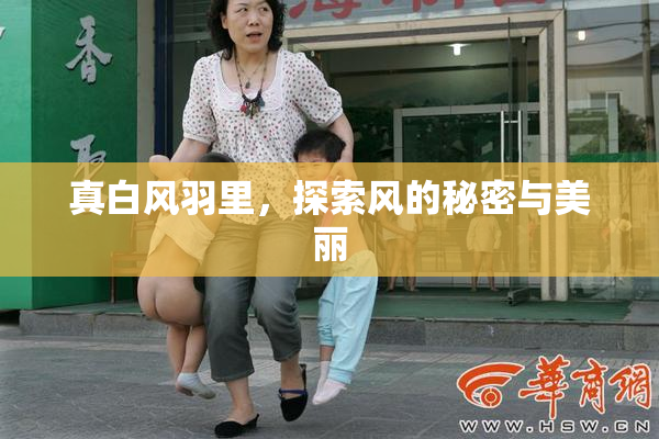 真白风羽里，探索风的秘密与美丽