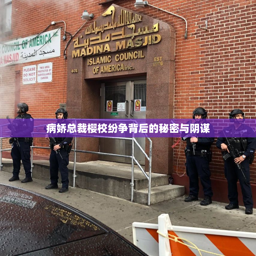 病娇总裁樱校纷争背后的秘密与阴谋