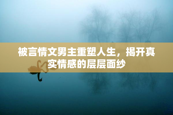 被言情文男主重塑人生，揭开真实情感的层层面纱
