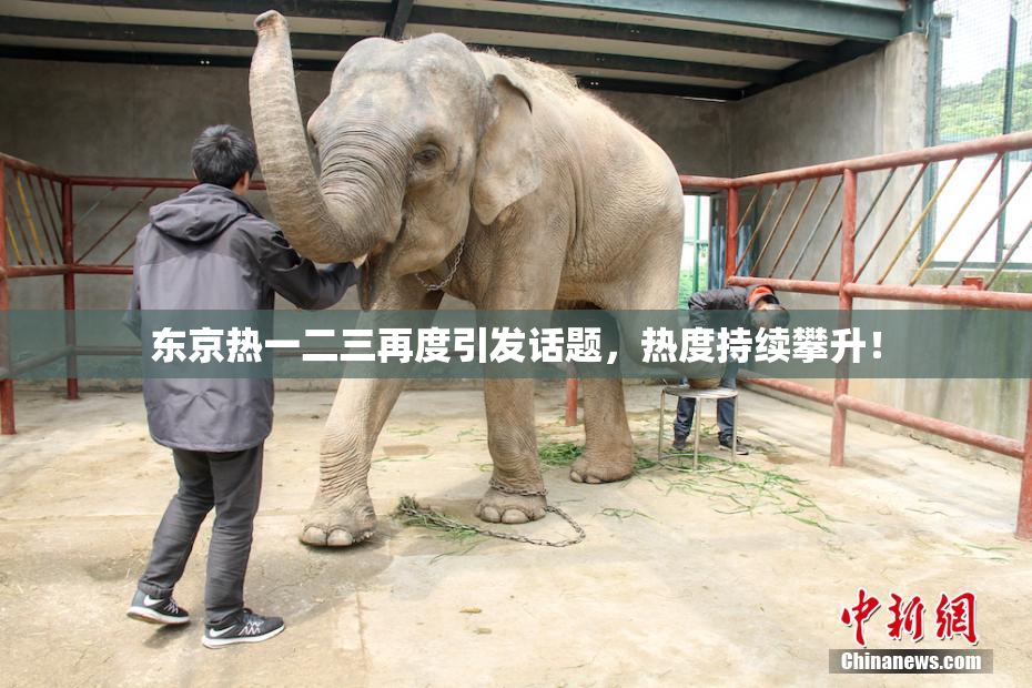 东京热一二三再度引发话题，热度持续攀升！