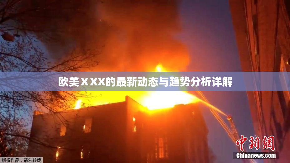 欧美ⅩXX的最新动态与趋势分析详解