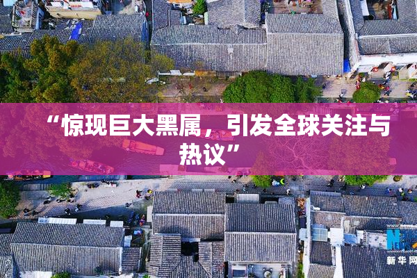 “惊现巨大黑属，引发全球关注与热议”