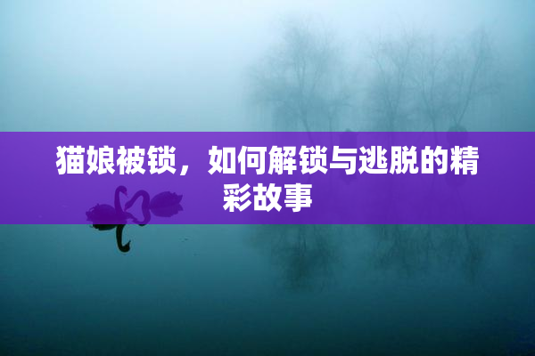猫娘被锁，如何解锁与逃脱的精彩故事