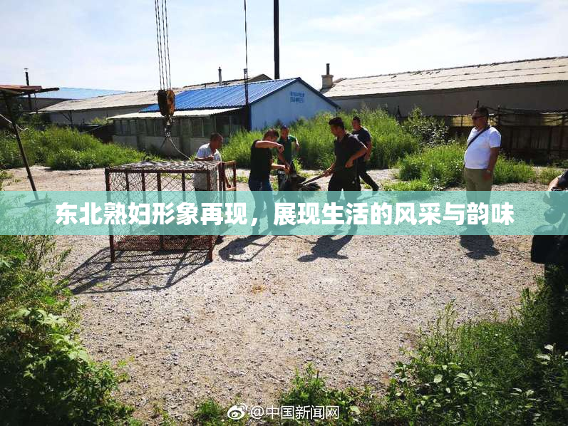 东北熟妇形象再现，展现生活的风采与韵味