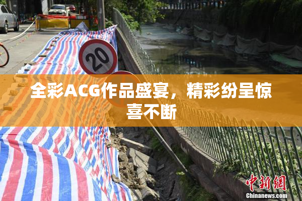 全彩ACG作品盛宴，精彩纷呈惊喜不断