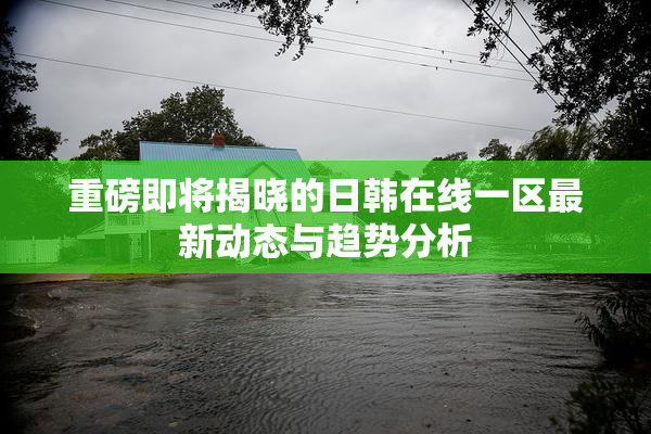 重磅即将揭晓的日韩在线一区最新动态与趋势分析
