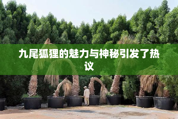 九尾狐狸的魅力与神秘引发了热议