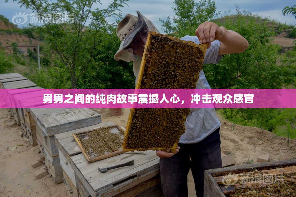 男男之间的纯肉故事震撼人心，冲击观众感官