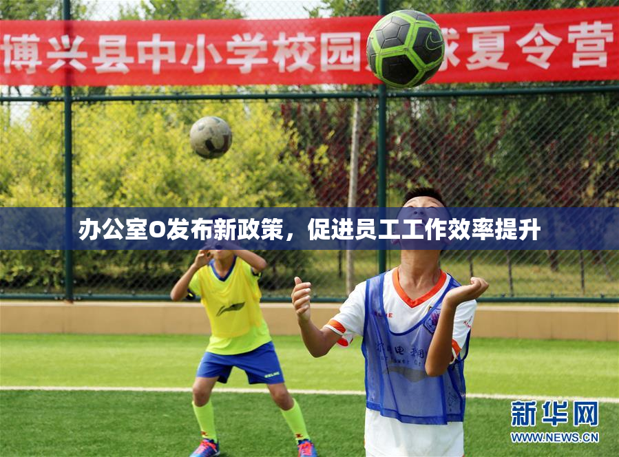 办公室O发布新政策，促进员工工作效率提升