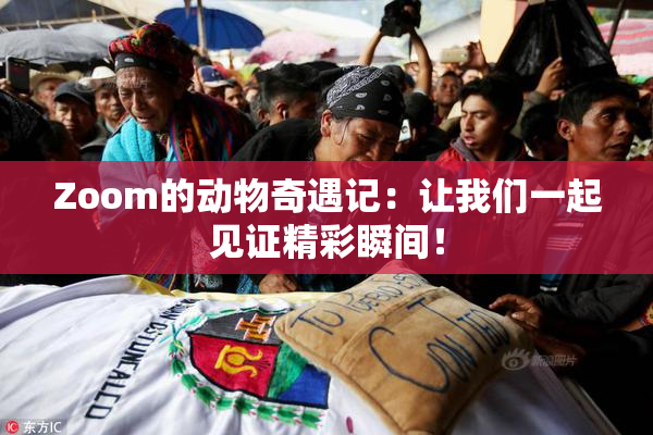 Zoom的动物奇遇记：让我们一起见证精彩瞬间！