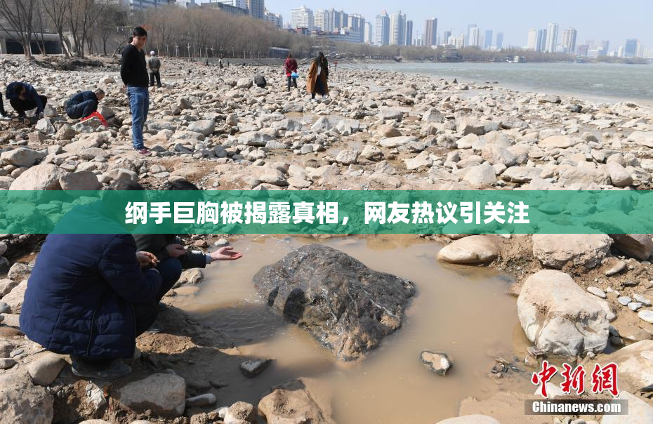 纲手巨胸被揭露真相，网友热议引关注