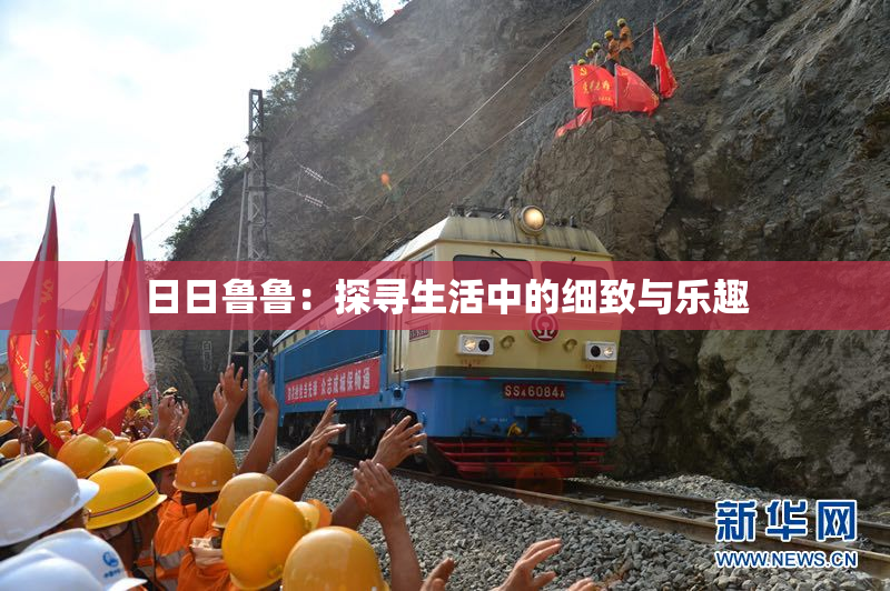 日日鲁鲁：探寻生活中的细致与乐趣