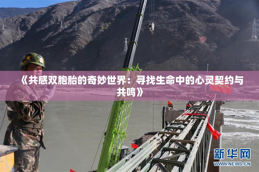 《共感双胞胎的奇妙世界：寻找生命中的心灵契约与共鸣》
