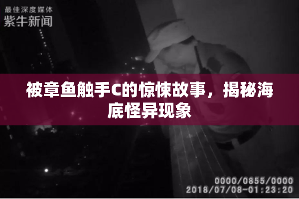 被章鱼触手C的惊悚故事，揭秘海底怪异现象