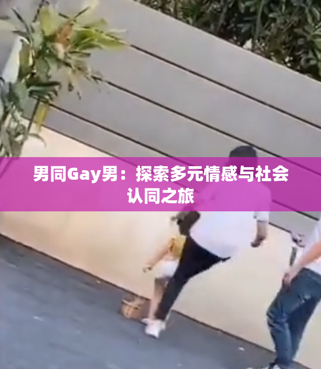 男同Gay男：探索多元情感与社会认同之旅