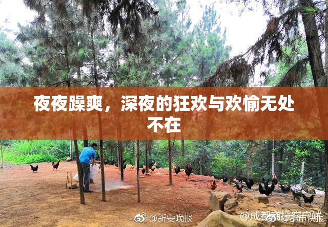 夜夜躁爽，深夜的狂欢与欢愉无处不在