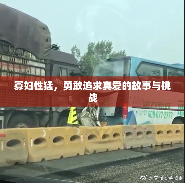 寡妇性猛，勇敢追求真爱的故事与挑战