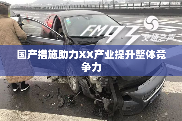 国产措施助力XX产业提升整体竞争力